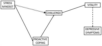 The mediating role of proactive coping in the relationships between stress mindset, challenge appraisal tendencies, and psychological wellbeing